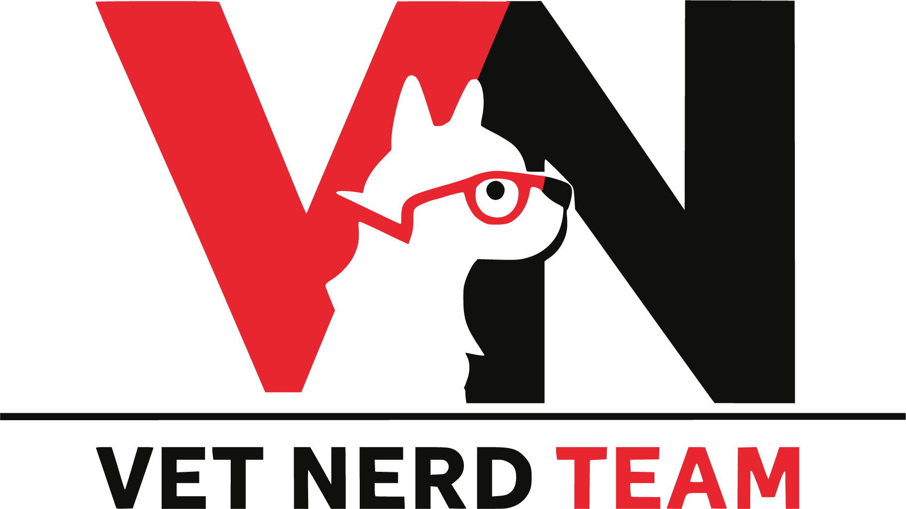 Vet Nerd Team